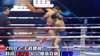 爆料武林风的视频,精彩瞬间回顾与幕后故事揭秘  第3张